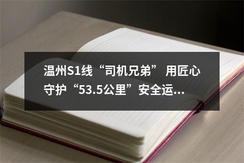 温州S1线“司机兄弟” 用匠心守护“53.5公里”安全运行