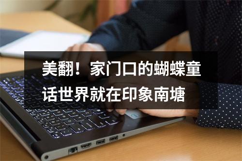 美翻！家门口的蝴蝶童话世界就在印象南塘