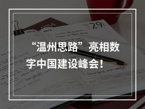 “温州思路”亮相数字中国建设峰会！
