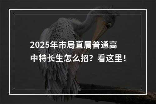 2025年市局直属普通高中特长生怎么招？看这里！