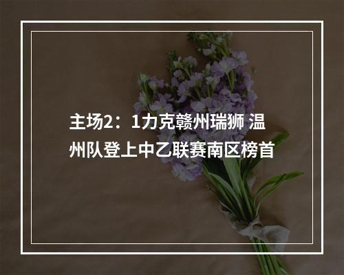 主场2：1力克赣州瑞狮 温州队登上中乙联赛南区榜首