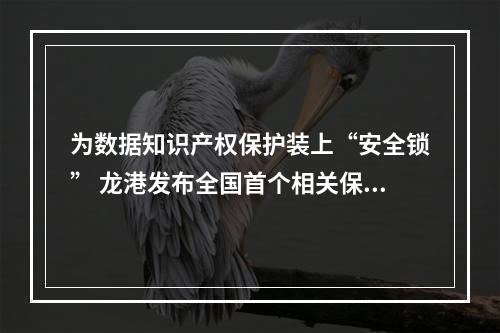 为数据知识产权保护装上“安全锁” 龙港发布全国首个相关保险服务规程