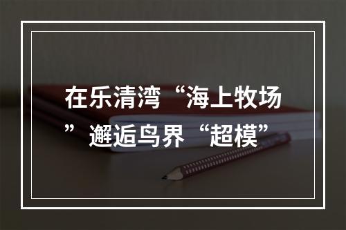 在乐清湾“海上牧场”邂逅鸟界“超模”