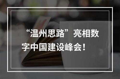 “温州思路”亮相数字中国建设峰会！