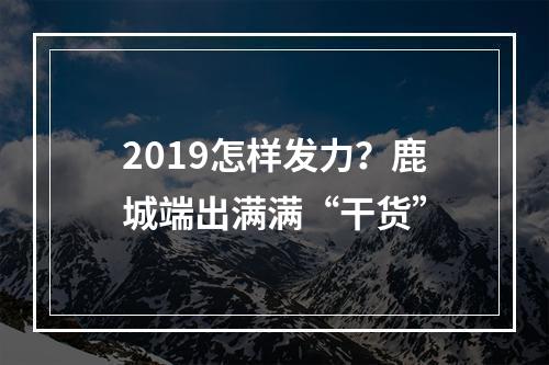 2019怎样发力？鹿城端出满满“干货”