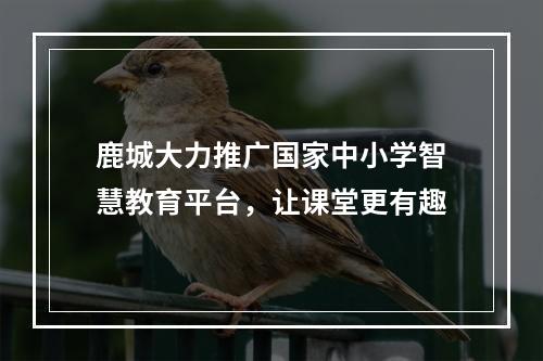 鹿城大力推广国家中小学智慧教育平台，让课堂更有趣