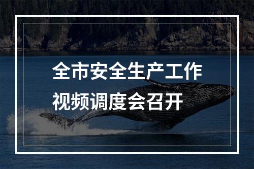 全市安全生产工作视频调度会召开