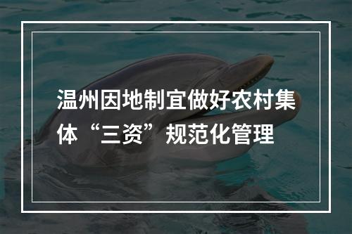 温州因地制宜做好农村集体“三资”规范化管理
