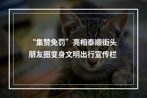 “集赞免罚”亮相泰顺街头 朋友圈变身文明出行宣传栏