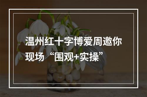 温州红十字博爱周邀你现场“围观+实操”