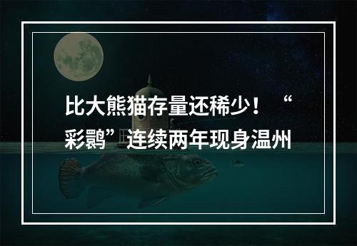比大熊猫存量还稀少！“彩鹮”连续两年现身温州