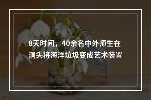 8天时间，40余名中外师生在洞头将海洋垃圾变成艺术装置
