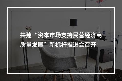 共建“资本市场支持民营经济高质量发展”新标杆推进会召开