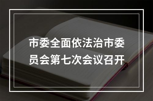 市委全面依法治市委员会第七次会议召开