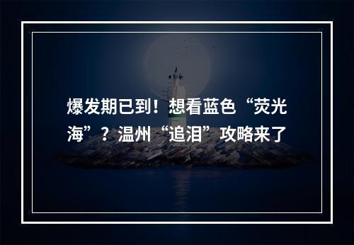 爆发期已到！想看蓝色“荧光海”？温州“追泪”攻略来了