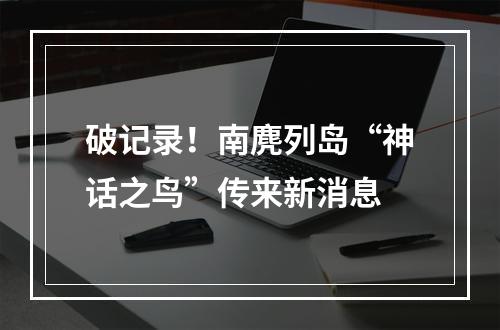 破记录！南麂列岛“神话之鸟”传来新消息