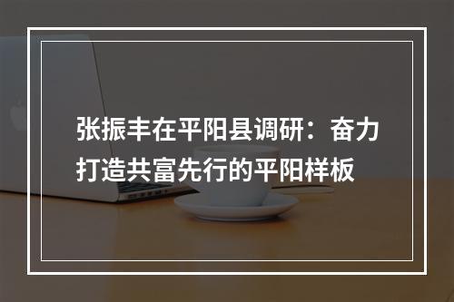 张振丰在平阳县调研：奋力打造共富先行的平阳样板
