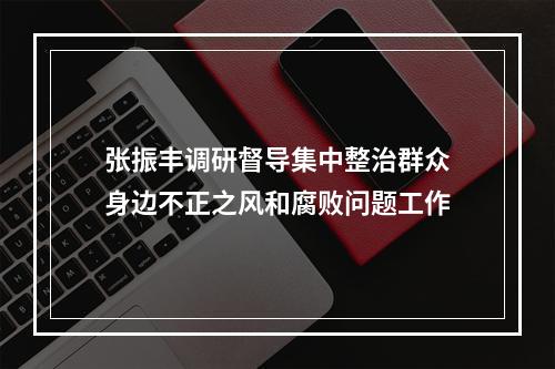 张振丰调研督导集中整治群众身边不正之风和腐败问题工作