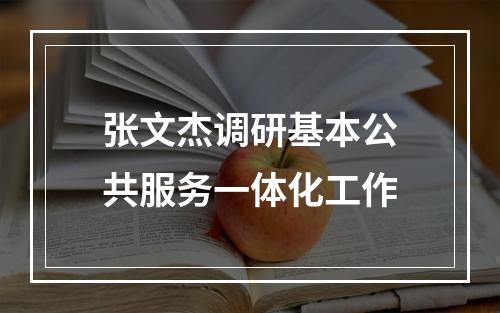 张文杰调研基本公共服务一体化工作
