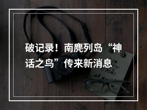 破记录！南麂列岛“神话之鸟”传来新消息