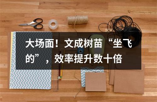 大场面！文成树苗“坐飞的”，效率提升数十倍