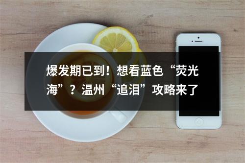 爆发期已到！想看蓝色“荧光海”？温州“追泪”攻略来了