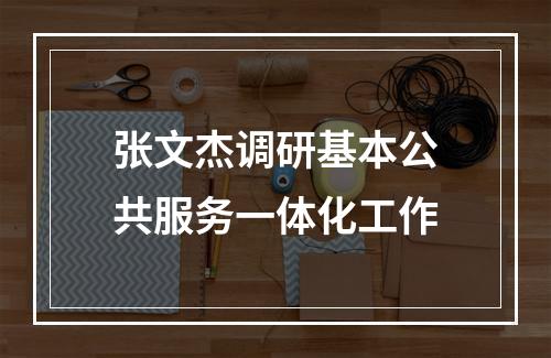 张文杰调研基本公共服务一体化工作