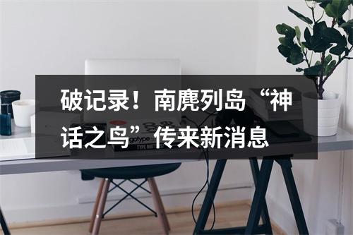 破记录！南麂列岛“神话之鸟”传来新消息