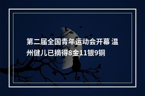 第二届全国青年运动会开幕 温州健儿已摘得8金11银9铜