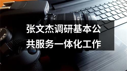 张文杰调研基本公共服务一体化工作