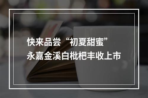 快来品尝“初夏甜蜜” 永嘉金溪白枇杷丰收上市