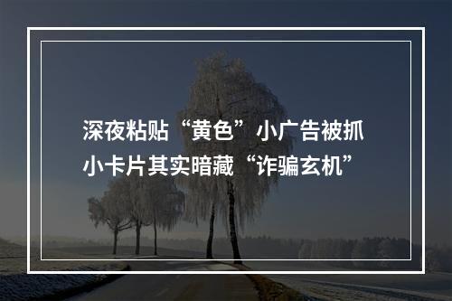深夜粘贴“黄色”小广告被抓 小卡片其实暗藏“诈骗玄机”
