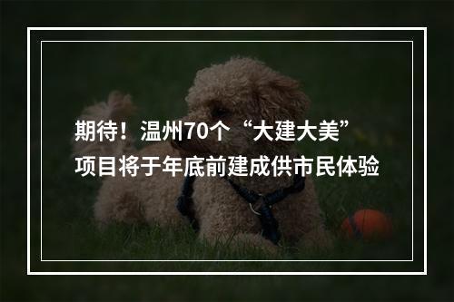 期待！温州70个“大建大美”项目将于年底前建成供市民体验