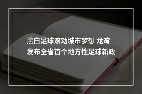 黑白足球滚动城市梦想 龙湾发布全省首个地方性足球新政