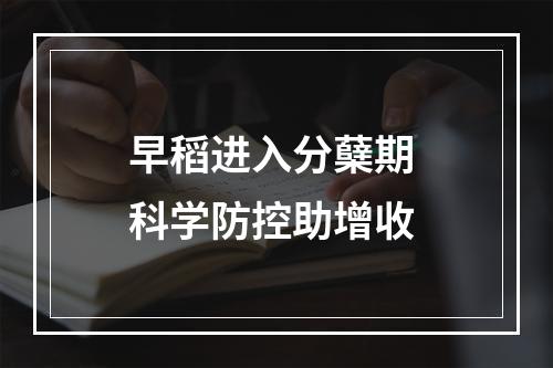 早稻进入分蘖期 科学防控助增收
