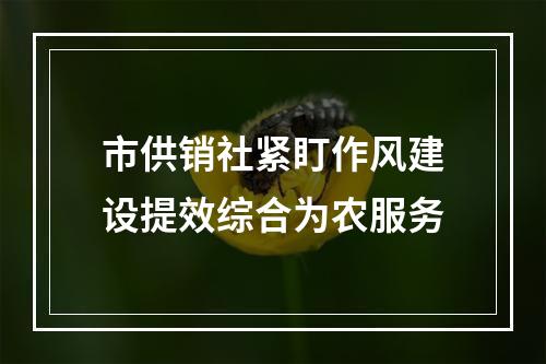 市供销社紧盯作风建设提效综合为农服务