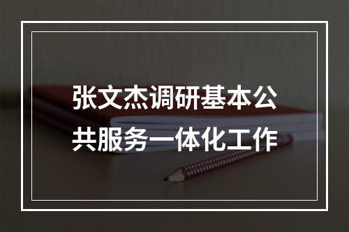 张文杰调研基本公共服务一体化工作