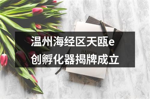 温州海经区天瓯e创孵化器揭牌成立