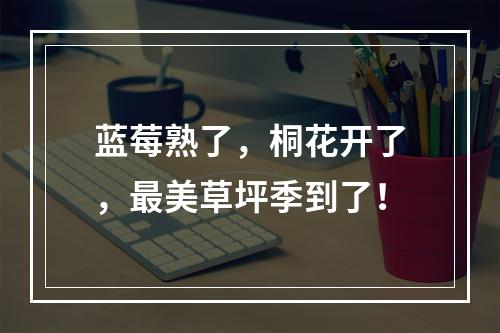 蓝莓熟了，桐花开了，最美草坪季到了！