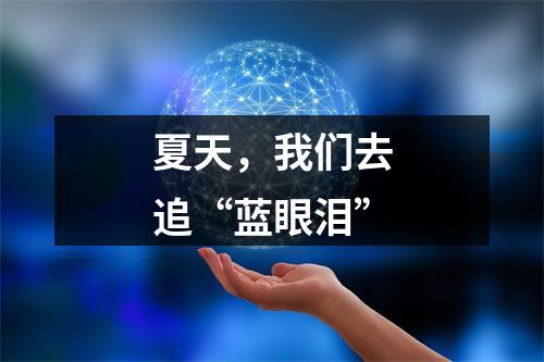 夏天，我们去追“蓝眼泪”