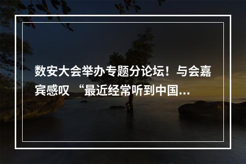 数安大会举办专题分论坛！与会嘉宾感叹 “最近经常听到中国数安港”