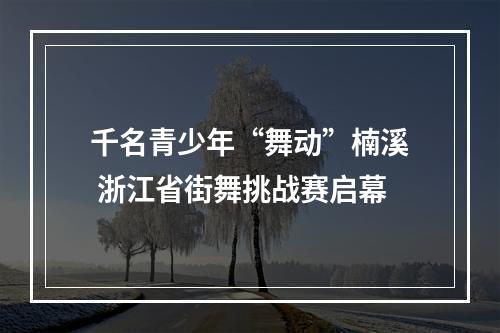 千名青少年“舞动”楠溪 浙江省街舞挑战赛启幕