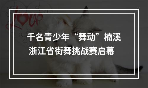 千名青少年“舞动”楠溪 浙江省街舞挑战赛启幕