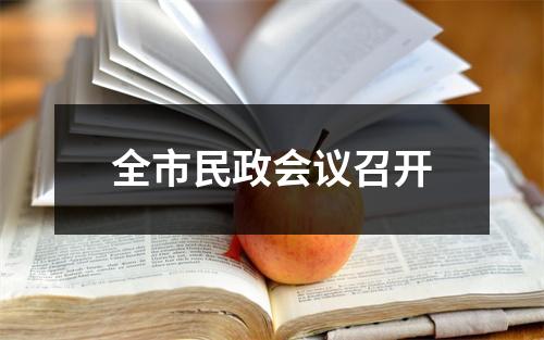 全市民政会议召开