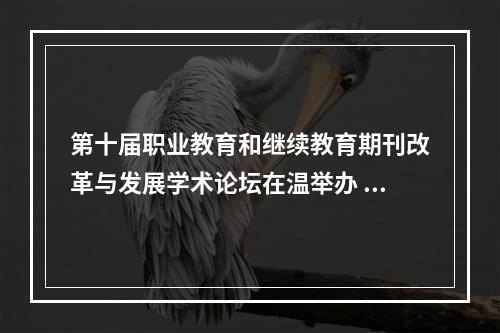 第十届职业教育和继续教育期刊改革与发展学术论坛在温举办 全国300余位专家学者共话职教高质量发展