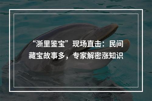 “浙里鉴宝”现场直击：民间藏宝故事多，专家解密涨知识