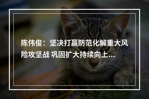 陈伟俊：坚决打赢防范化解重大风险攻坚战 巩固扩大持续向上向好的发展态势