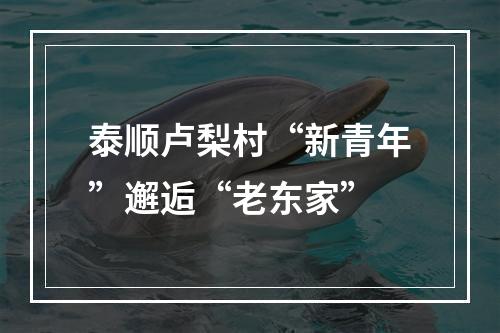泰顺卢梨村“新青年”邂逅“老东家”