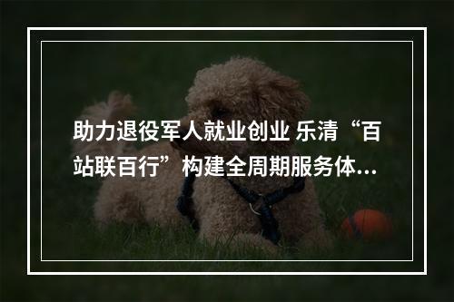 助力退役军人就业创业 乐清“百站联百行”构建全周期服务体系