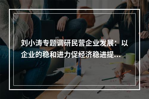 刘小涛专题调研民营企业发展：以企业的稳和进力促经济稳进提质